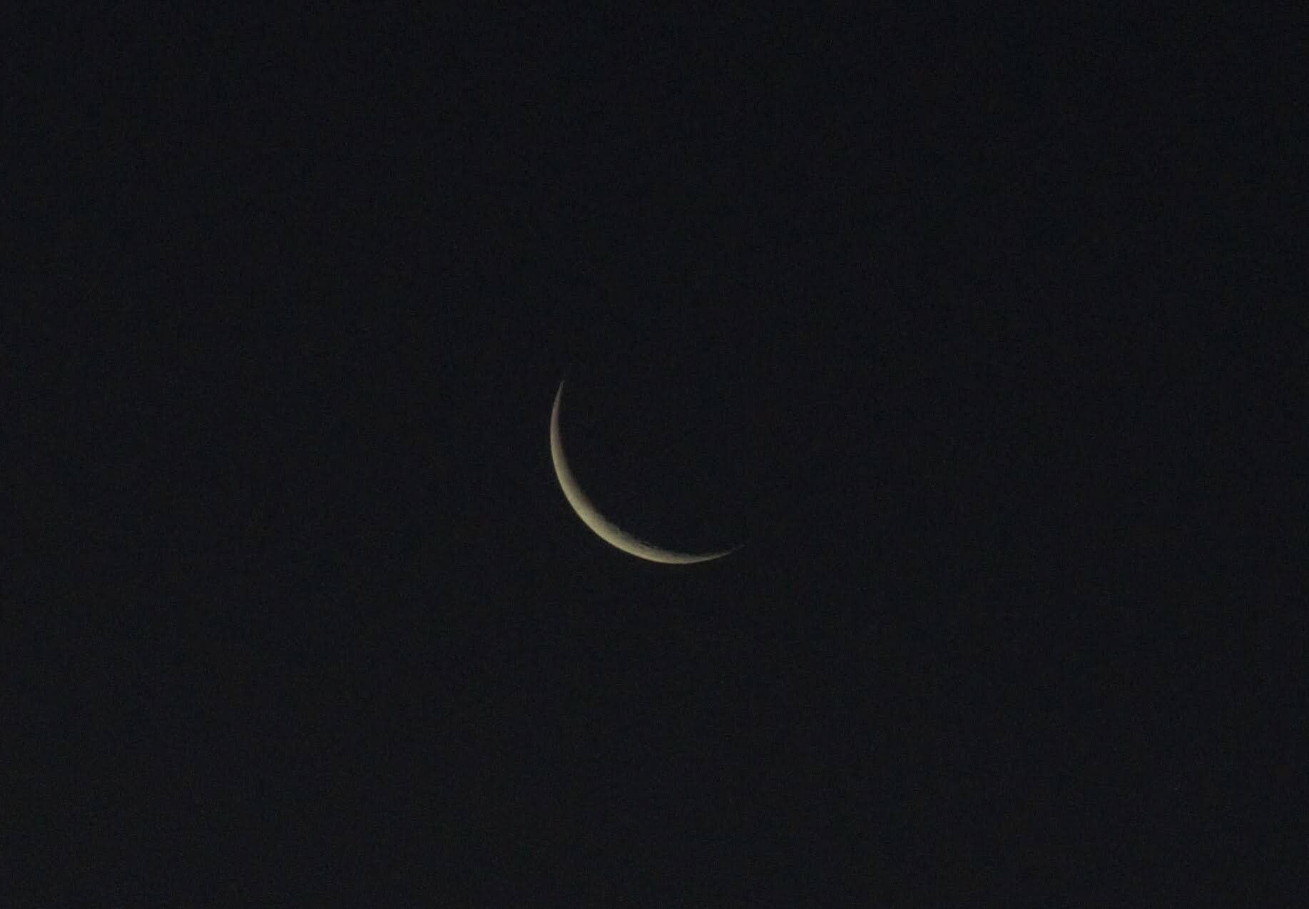 2noche cometa (1)