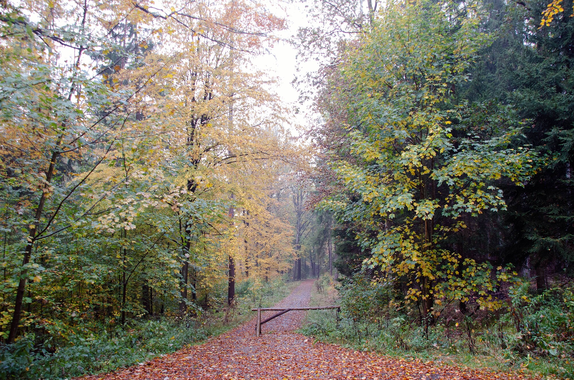 Kunst natur (3)